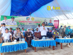 Panen Raya Padi di Desa Silea Jaya, Surunuddin Sebut Berkah Bagi Petani