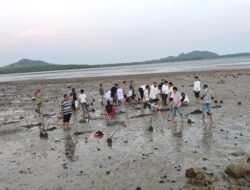 Lestarikan Ekosistem Pesisir, BPJS Ketenagakerjaan Konsel Tanam Puluhan Mangrove