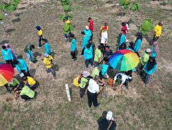 Memasuki Musim Tanam, BP2SDM KLHK Sultra Tanam Ratusan Bibit Serentak di Konsel