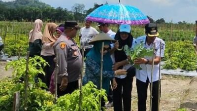 Tekan Laju Inflasi, Hj Nurlin Surunuddin Gelar Panin Cabe di Wolasi Konsel