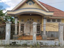 Sekertariat Pemuda Pelajar Mahasiswa Kolut Butuh Perhatian Pemda