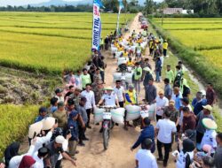 Panen Raya di Desa Alakaya, Sinergi Bupati dan Petani Milenial Wujudkan Swasembada Pangan Konawe Selatan
