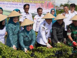 PKK Konawe Selatan Sukses Gelar Gerakan Tanam Cabai Serentak se-Sultra