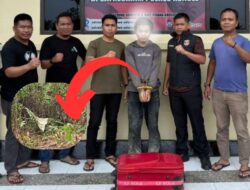 Diduga Dibunuh, Jenazah Balita di Konawe Selatan Diautopsi, Polisi Tangkap Pelaku