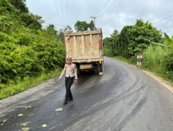Truk Mogok Kelebihan Muatan di Tanjakan Poros Kendari–Konsel, Lalulintas Sempat Tersendat