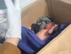 Geger! Warga Mateupe Konsel Temukan Bayi Perempuan dalam Kardus Bekas Oli