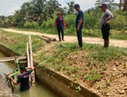 Respons Cepat Call Center 112, Tim Damkarmat Konsel Evakuasi Ternak Sapi Warga Desa Awalo