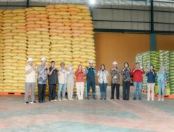 TPID Konawe Selatan Pantau Stok Beras di Gudang Bulog Lalobao Jelang Ramadan 1447 H