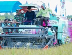 Bupati Irham Kalenggo Pimpin Panen Raya dan Canangkan Gerakan Tanam Serentak di Potoro