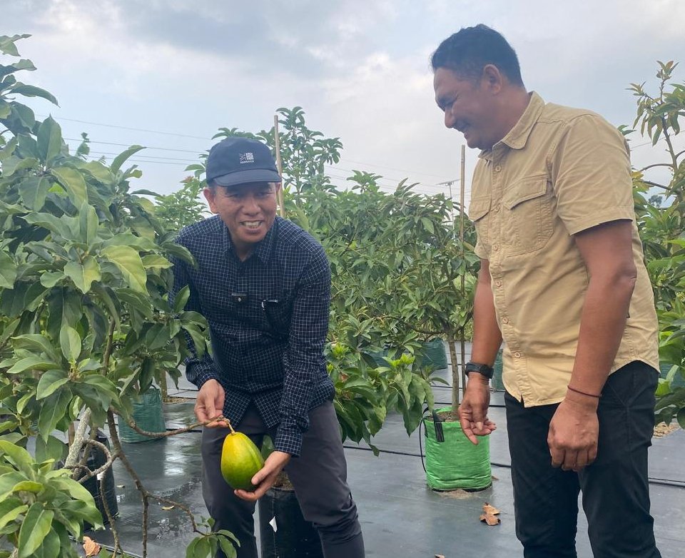 Sinergi Agrowisata, Pemkab Konsel Studi Lapangan Perkebunan Alpukat dan Tabulampot di Kediri