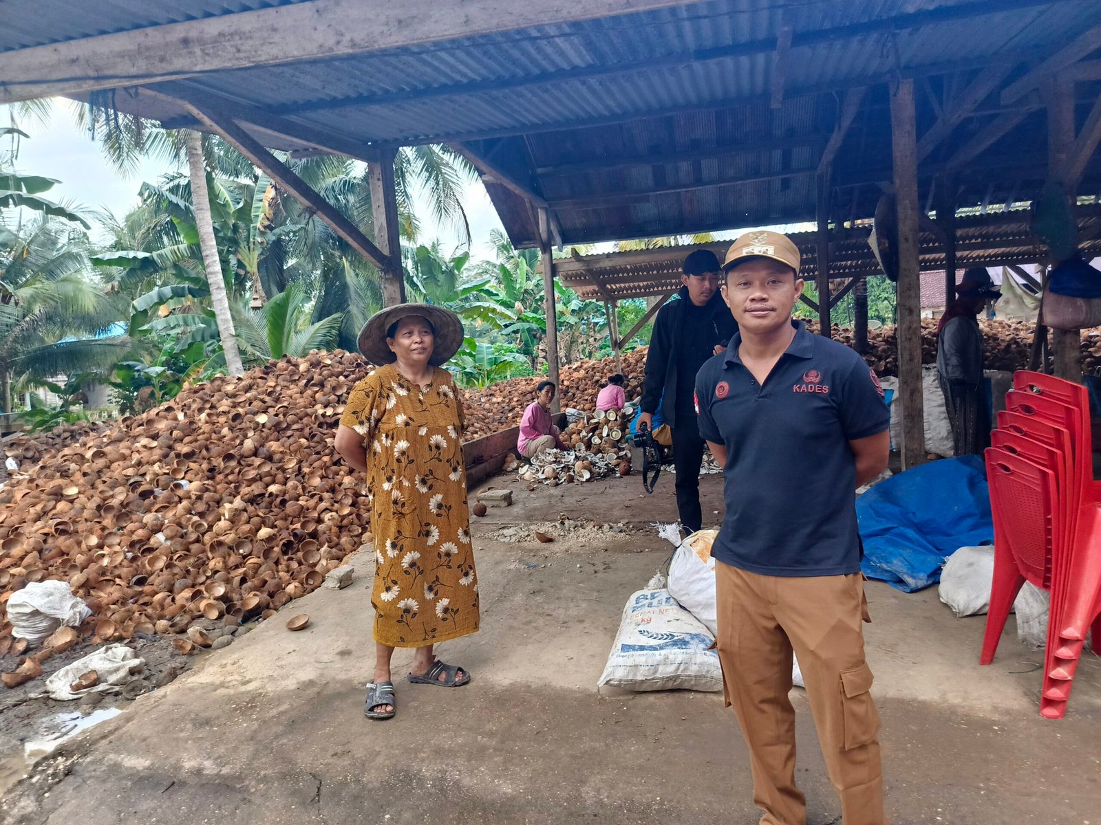 Sektor Kelapa Hibrida Jadi Penopang Ekonomi Warga Transmigran di Desa Asembu Mulya