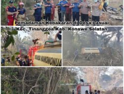 SIAGA DARURAT: Damkarmat Konsel Kerahkan Personel Padamkan 5 Titik Kebakaran Lahan dalam Sehari