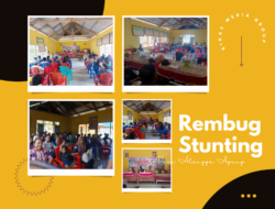 Optimalisasi Pencegahan Stunting, Pemdes Alengge Agung Gelar Rembug Stunting Bersama Lintas Sektor
