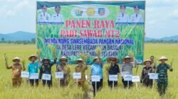 Sekda Konsel Hadiri Panen Raya Padi Sawah di Kecamatan Basala: Wujud Ketahanan Pangan di Tengah Tantangan Kekeringan