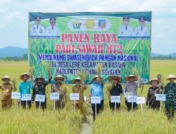 Sekda Konsel Hadiri Panen Raya Padi Sawah di Kecamatan Basala: Wujud Ketahanan Pangan di Tengah Tantangan Kekeringan